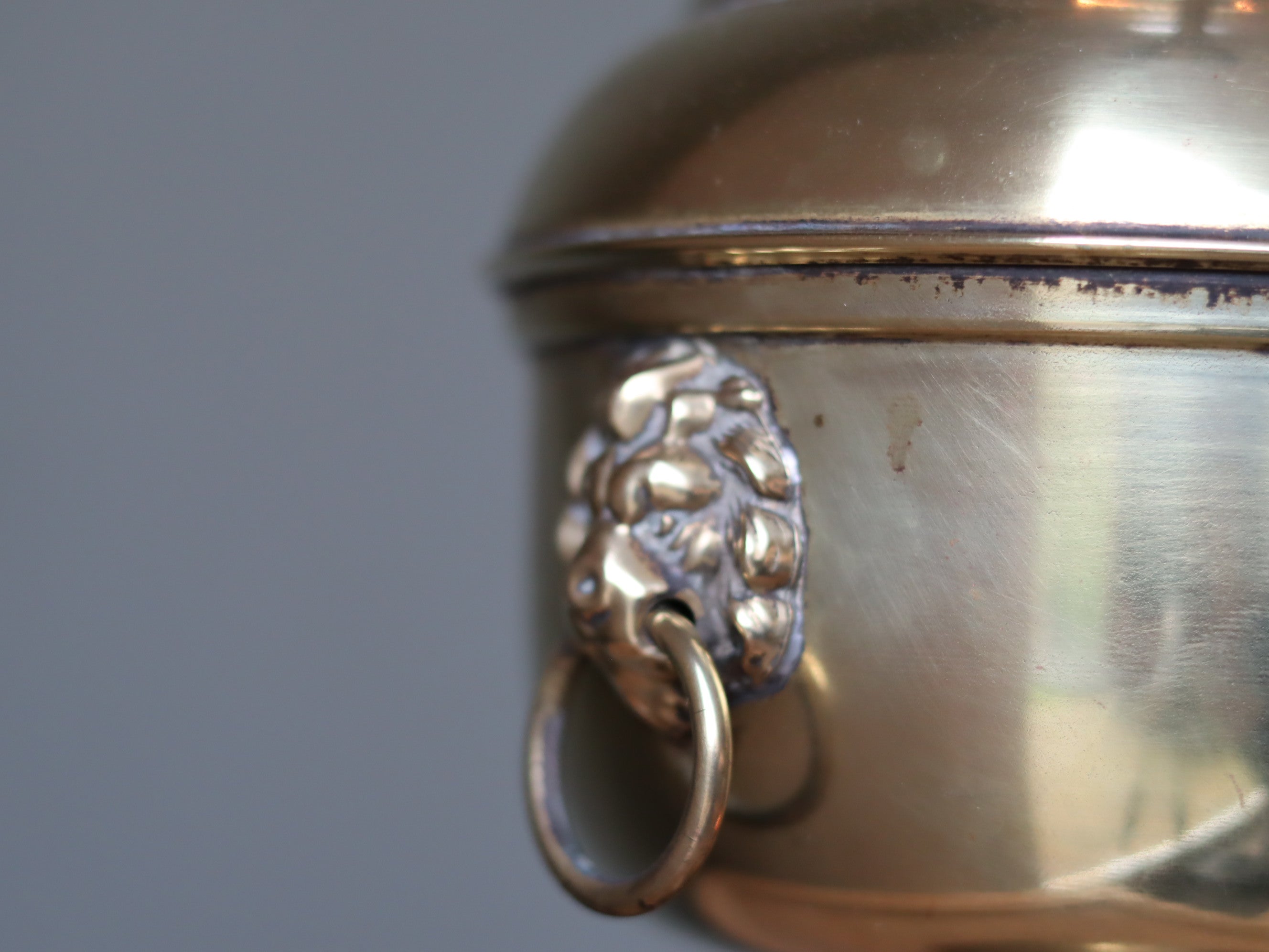 Vintage Brass Oil Lamp with Lion Heads & 20" Hugo Schneider Matador Burner